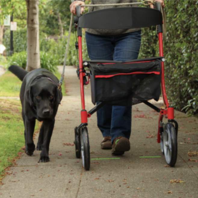 Parkinson hjælpemiddel, når du har Freezing of Gait. NexStride, der hjælper dig i gang, når du fryser.